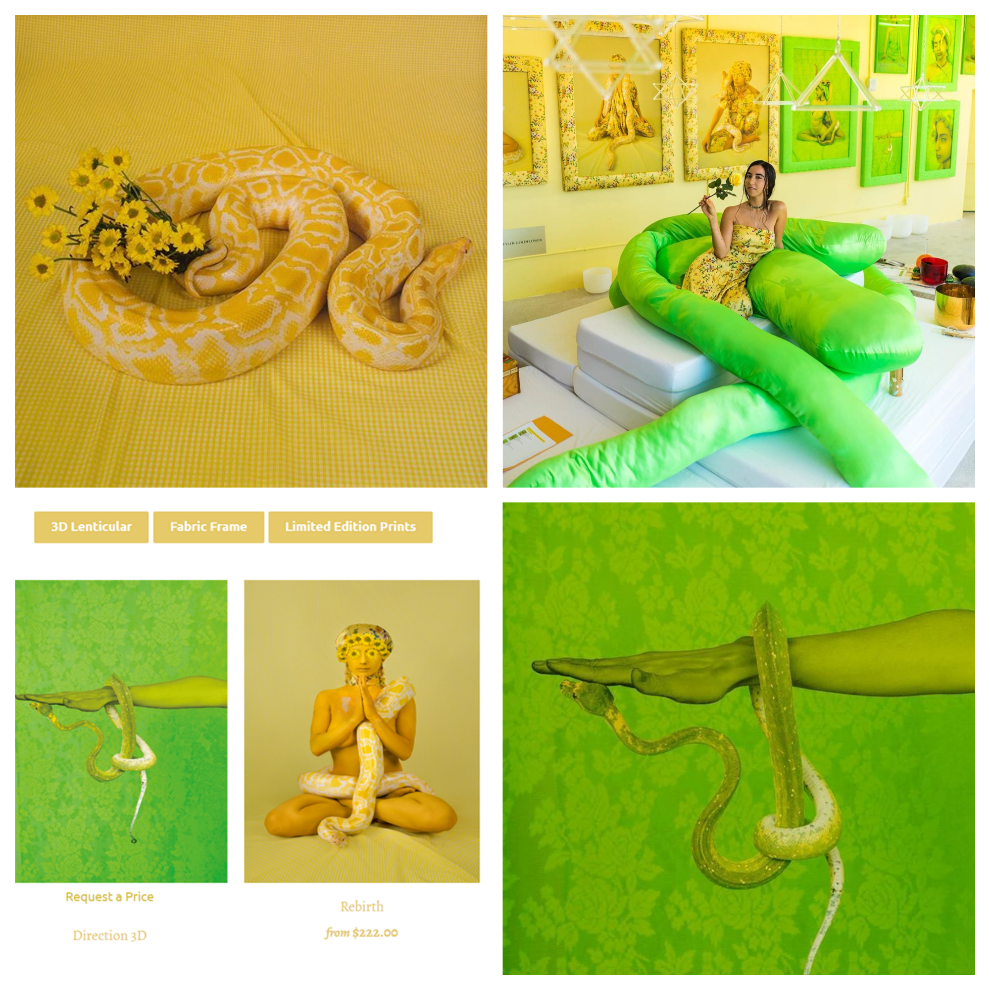 Theme Customization, Shopify